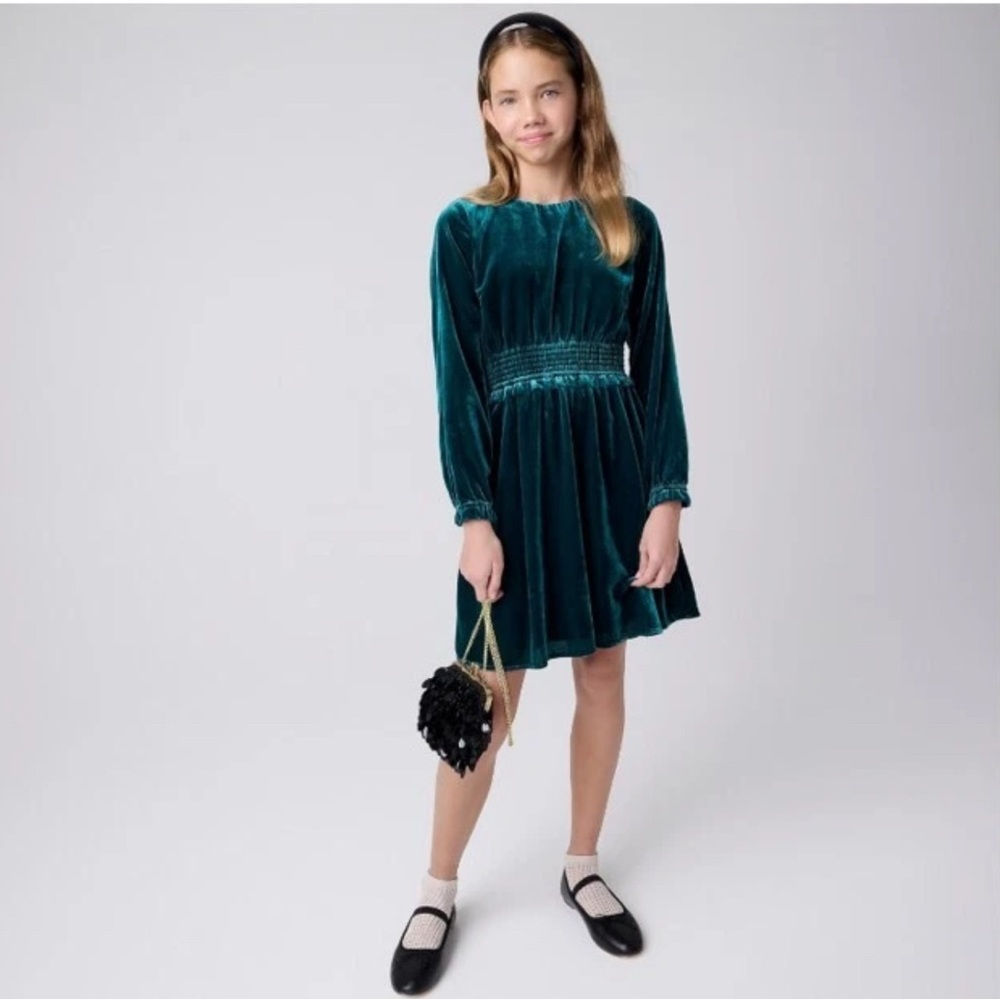 Crewcuts  Girls' smocked velvet dress